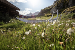 Forside sisimiut old town